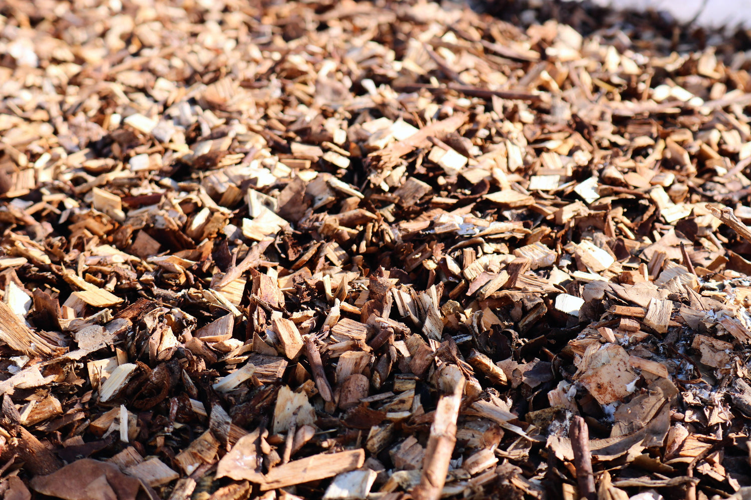 Woodchips