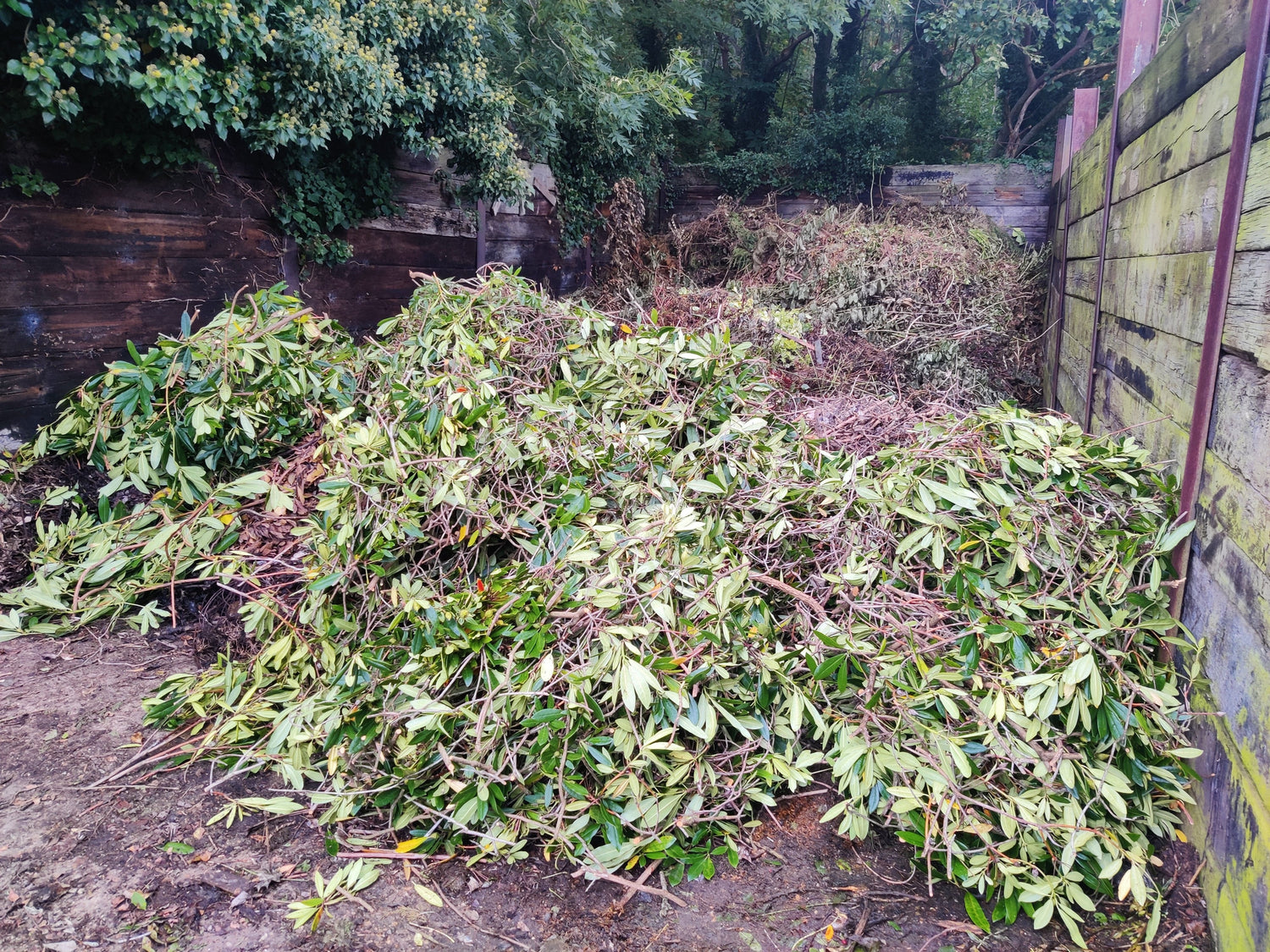 Green Waste Drop-Off