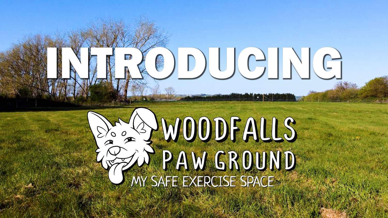 My Paw Grounds