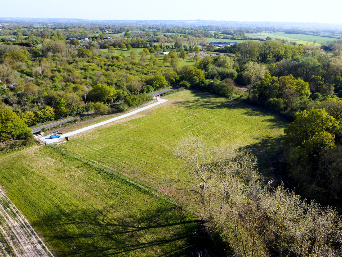 Woodfalls Paw Ground