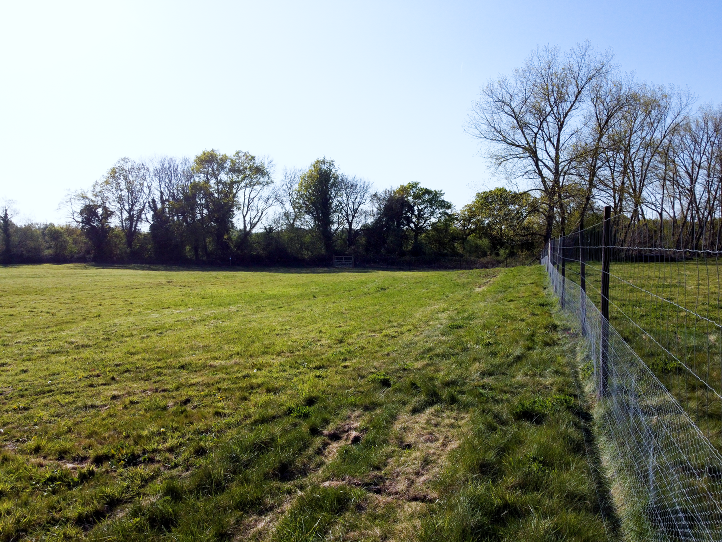 Woodfalls Paw Ground