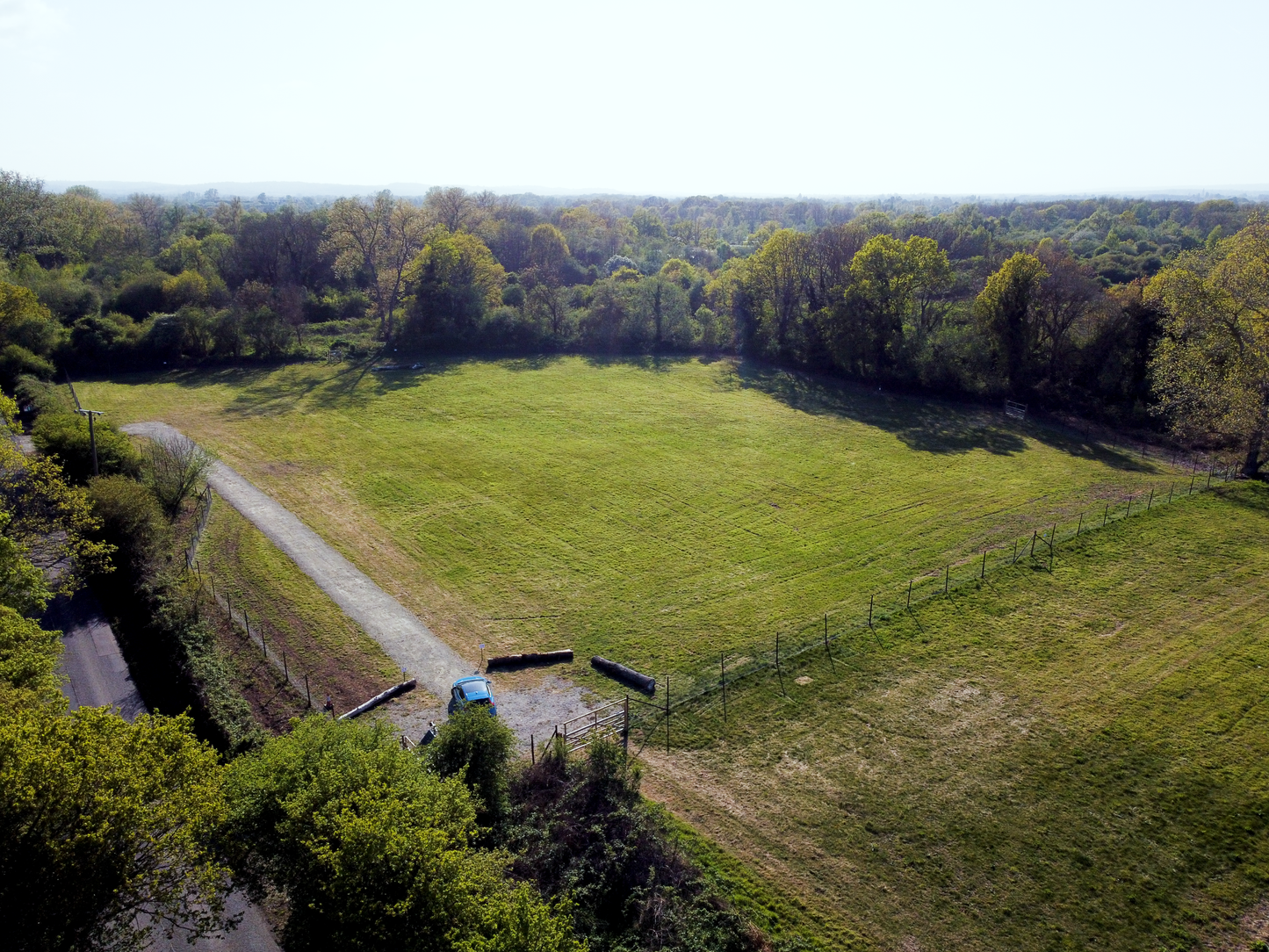 Woodfalls Paw Ground