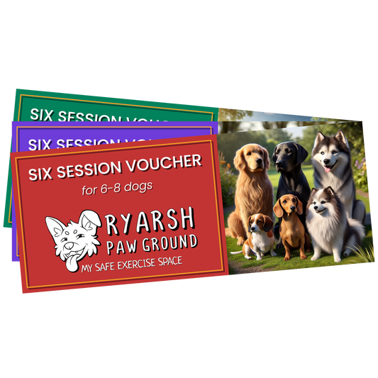 Six Session Voucher