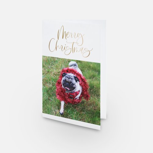 Christmas Cards