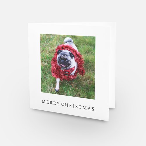 Christmas Cards