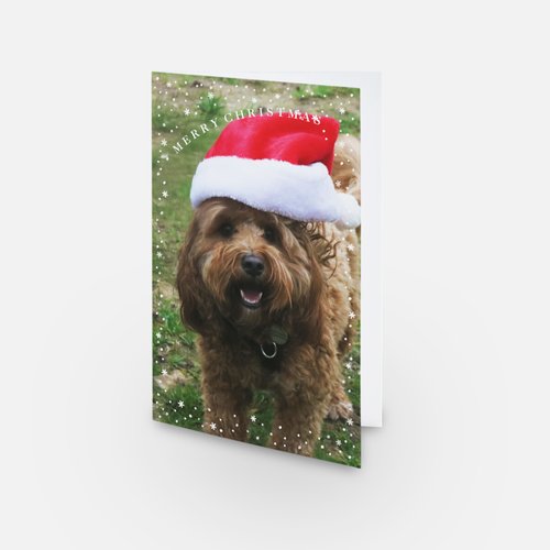 Christmas Cards