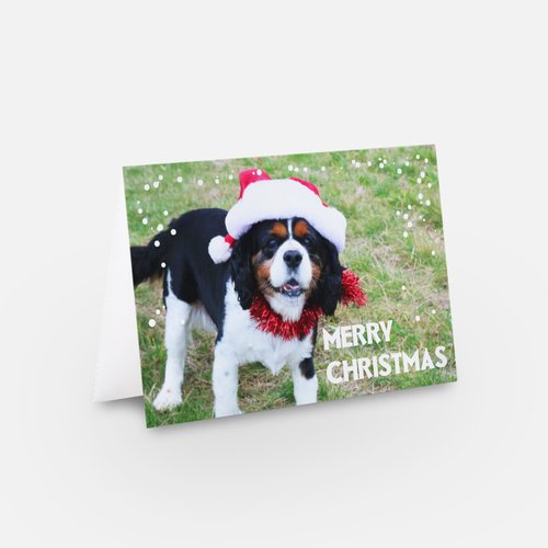 Christmas Cards